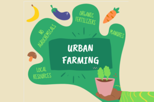 Urban Farming (BANING)